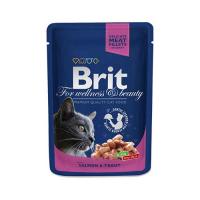 Brit Premium Cat Pouches with Salmon & Trout 100 г фото в интернет-магазине ZooVsem.by