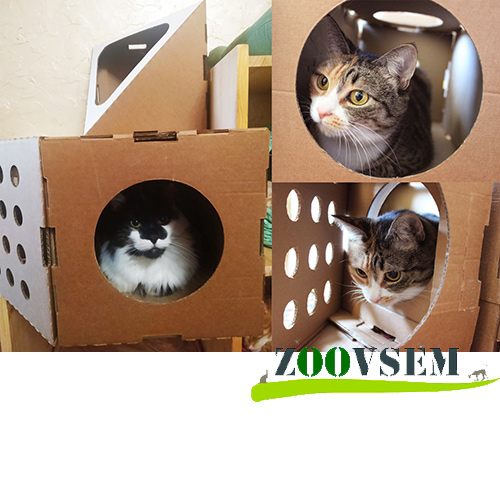 Домик-комплекс для кошек из картона купить в Минске интернет магазин |  ZooVsem.by