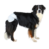 Подгузники "TRIXIE" для собак, 12 шт фото в интернет-магазине ZooVsem.by
