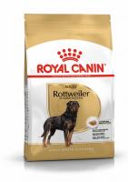Royal Canin Rottweiler Adult  фото в интернет-магазине ZooVsem.by