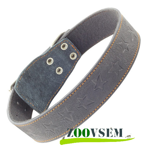 Ошейник кожаный на синтепоне с тиснением, 45 мм х 770 мм фото в интернет-магазине ZooVsem.by