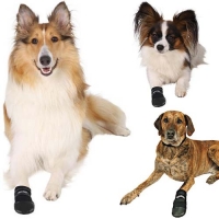 Ботиночки "TRIXIE" для собак "Walker" (2 шт) фото в интернет-магазине ZooVsem.by