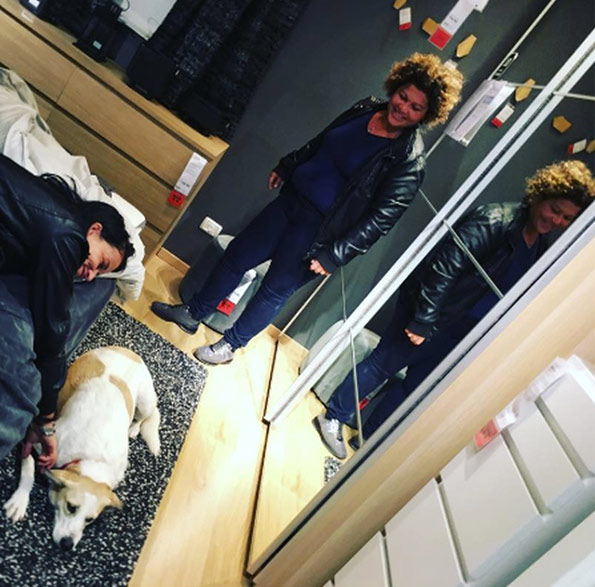 фото IKEA и приюты для бездомных животных 
