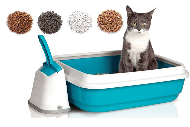 фото Как выбрать наполнитель для кошачьего туалета? 