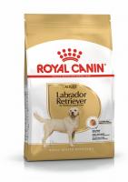 Royal Canin Labrador Retriever Adult фото в интернет-магазине ZooVsem.by