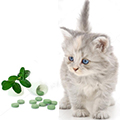 фото Витаминно-минеральные добавки для кошек и котят