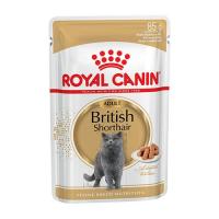 Royal Canin British Shorthair (12 шт. х 85 г) фото в интернет-магазине ZooVsem.by