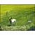 Манеж "SAVIC" для собак "Dog park 1", 61х61 см фото в интернет-магазине ZooVsem.by