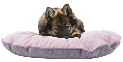 Лежак "TRIXIE" для собак "Lupo" двухсторонний, 60х45 см фото в интернет-магазине ZooVsem.by