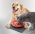 Миска "TRIXIE" Yummynator Bowl System для собак, с ковриком, 0,4 л/Ø 18 см, 24х24см фото в интернет-магазине ZooVsem.by