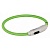 Ошейник светящийся "TRIXIE" USB Flash, зеленый фото в интернет-магазине ZooVsem.by