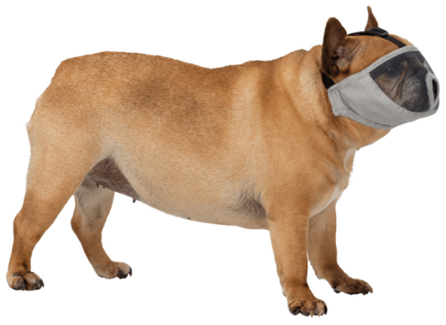 Намордник "TRIXIE" для плоскомордых пород собак  фото в интернет-магазине ZooVsem.by
