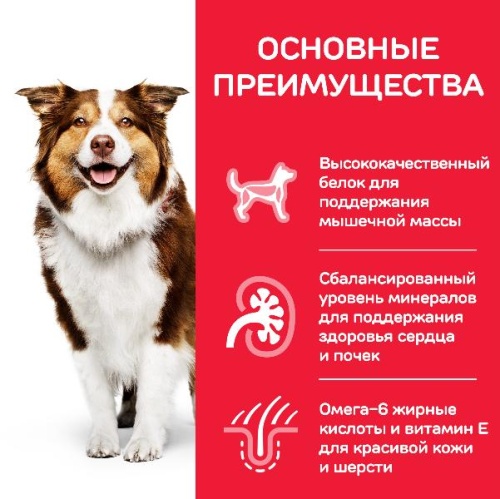 Hill's SP Canine Mature Adult Active Longevity Medium Chicken 12 кг фото в интернет-магазине ZooVsem.by
