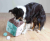Игрушка из плюша "TRIXIE" для собаки "Игрушка куб и 4 мячика", 21 см фото в интернет-магазине ZooVsem.by