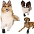 Ботиночки "TRIXIE" для собак "Walker" (2 шт) фото в интернет-магазине ZooVsem.by