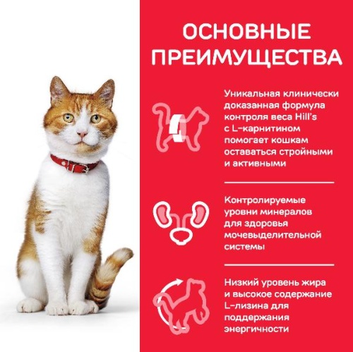 Hill's Science Plan Sterilised Cat (с лососем) 85 г фото в интернет-магазине ZooVsem.by